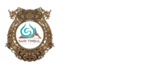 logo web st